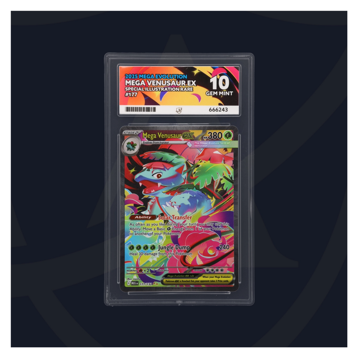 Graded card back