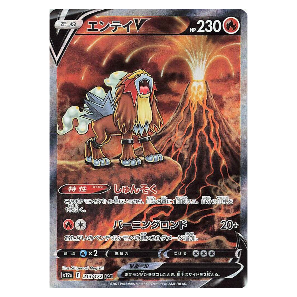 Entei V - 213/172 213/172 Special Art Rare (SAR) — VSTAR Universe (Japanese)