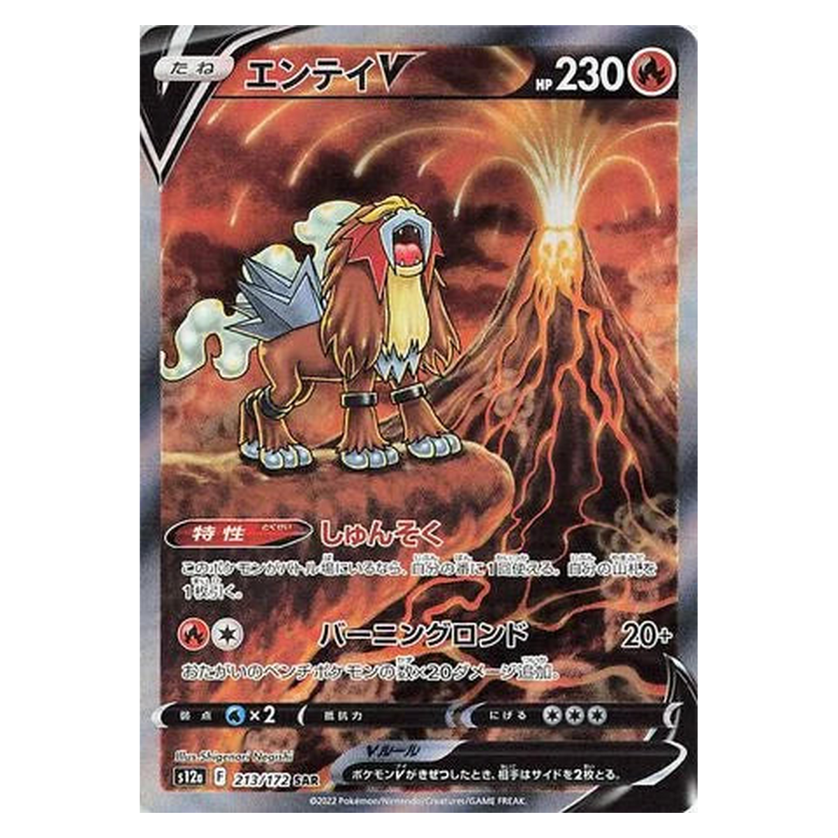 Pokemon TCG Entei V 213/172 Special Art Rare (SAR) - VSTAR Universe