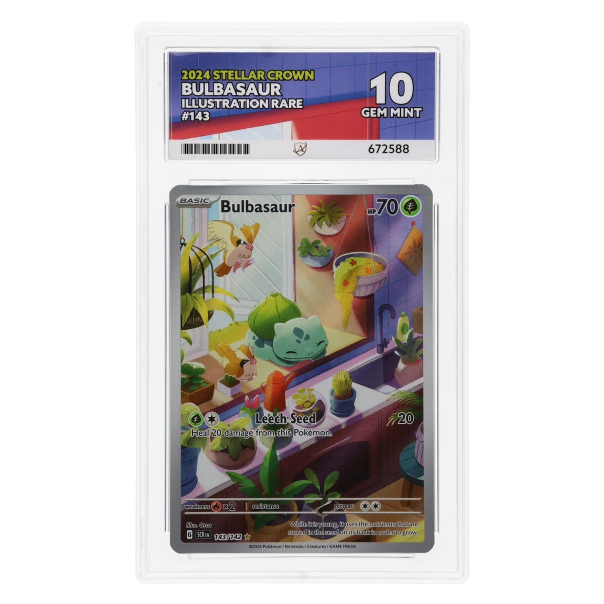Graded card front
