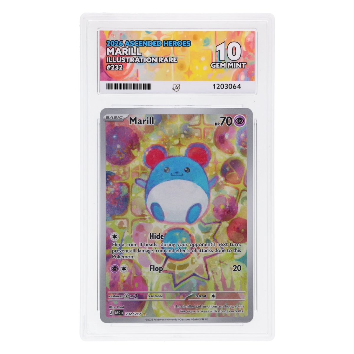 Graded card front