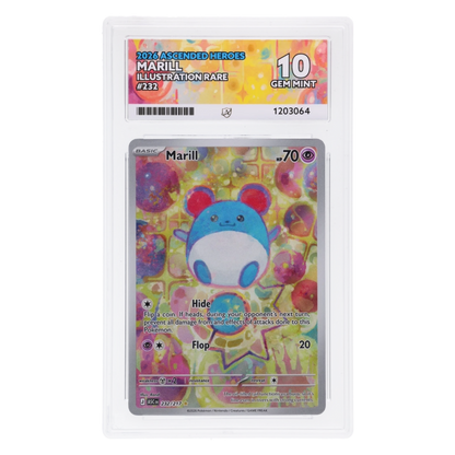 Graded card front